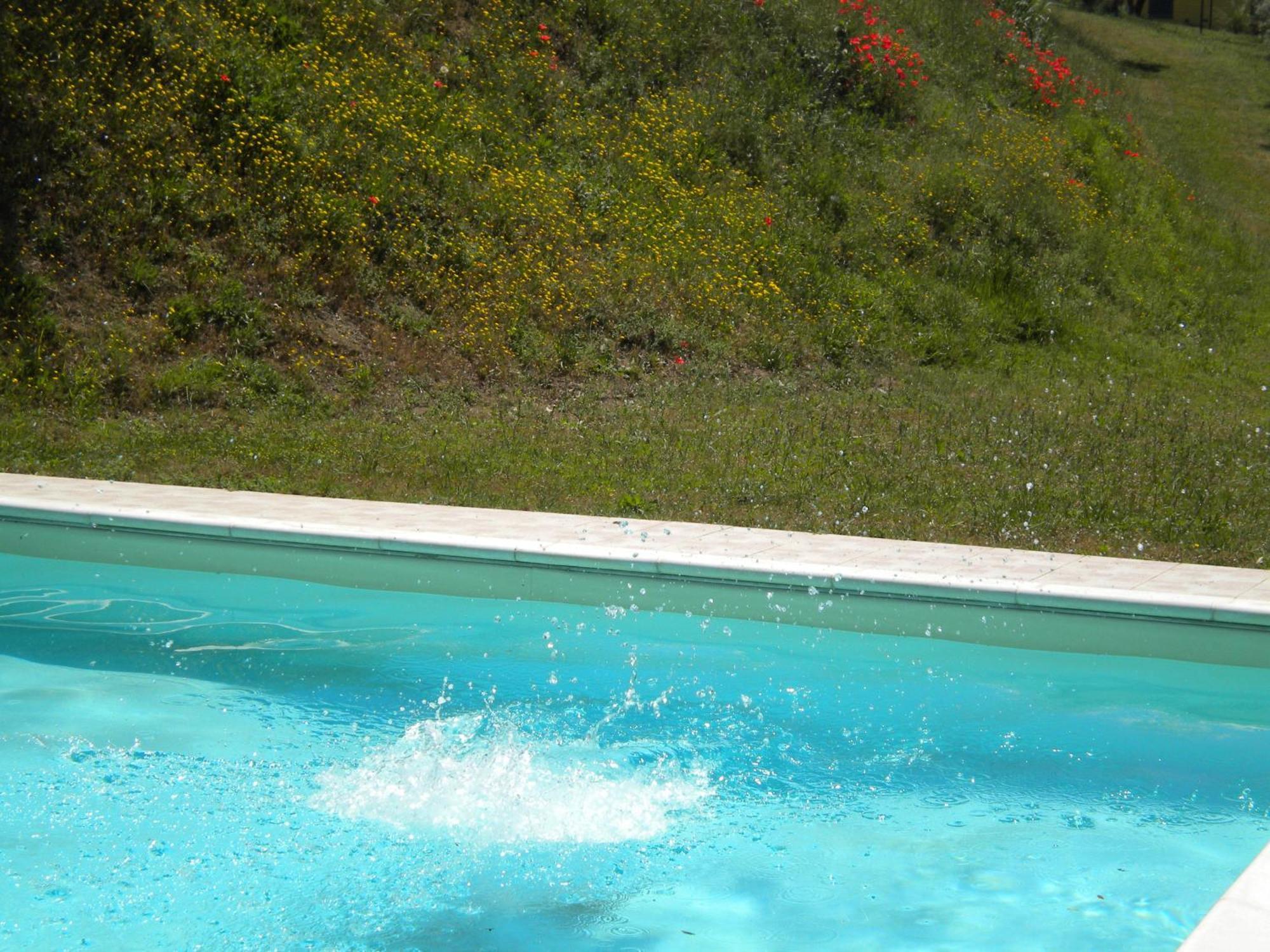 Il Poggio Delle Ginestre Guest House Torgiano Ngoại thất bức ảnh