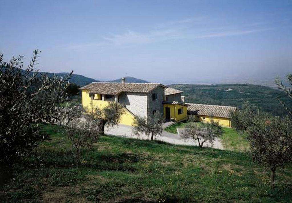 Il Poggio Delle Ginestre Guest House Torgiano Ngoại thất bức ảnh