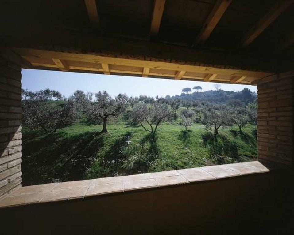 Il Poggio Delle Ginestre Guest House Torgiano Ngoại thất bức ảnh
